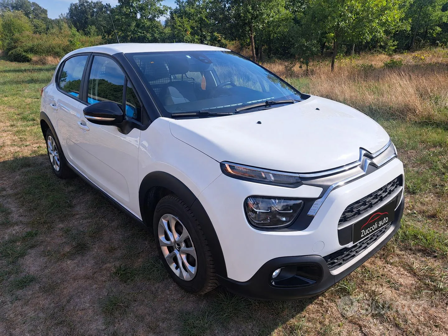 Citroen C3 Van