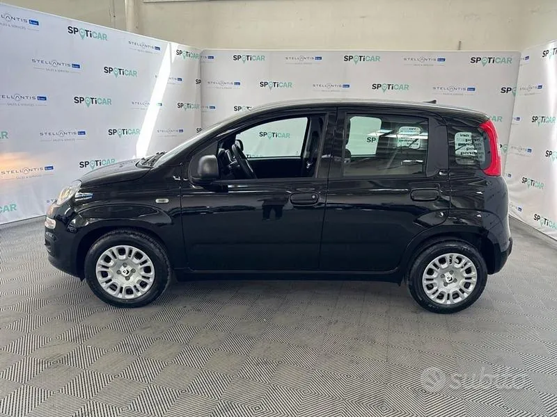 Fiat Pandina 2026 photo 2