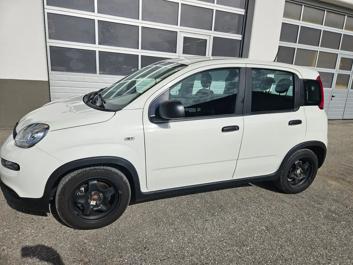 Fiat Panda 2024 photo 2