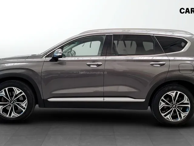 Hyundai Santa Fe 2019 photo 2