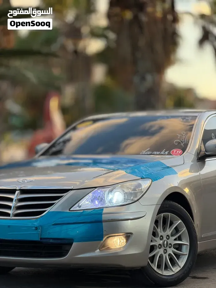 Genesis Sonata 2010 photo 3