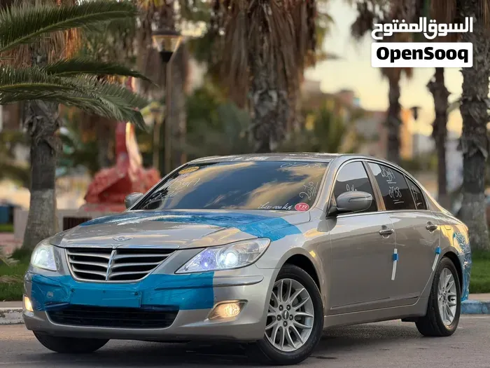 Genesis Sonata 2010 photo 2