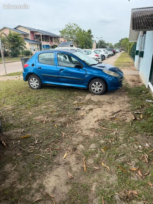 Peugeot 206 2011 photo 2