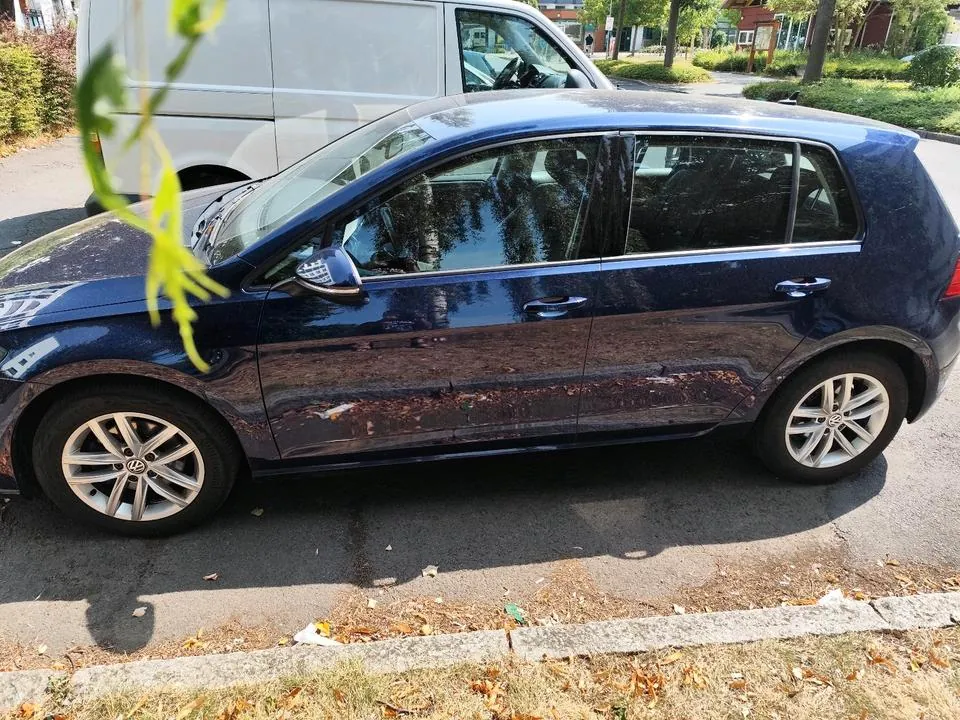 Volkswagen Golf 7