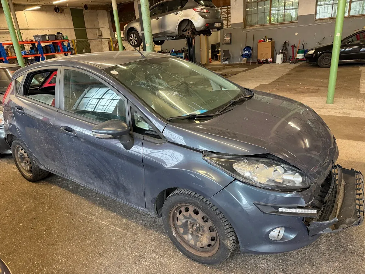 Ford Fiesta 2009 photo 2