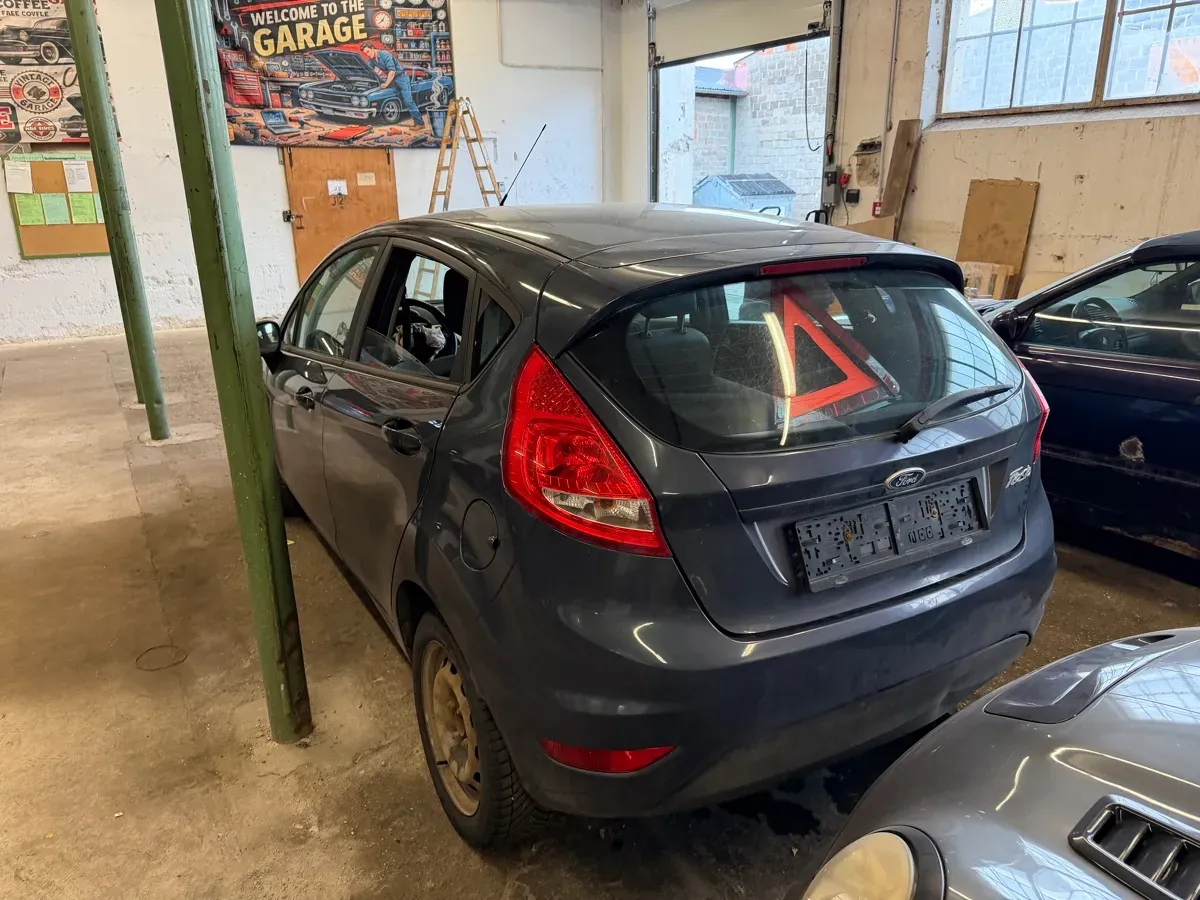 Ford Fiesta 2009 photo 3