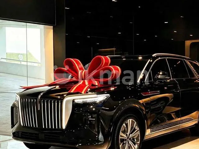 Hongqi E-Hs9