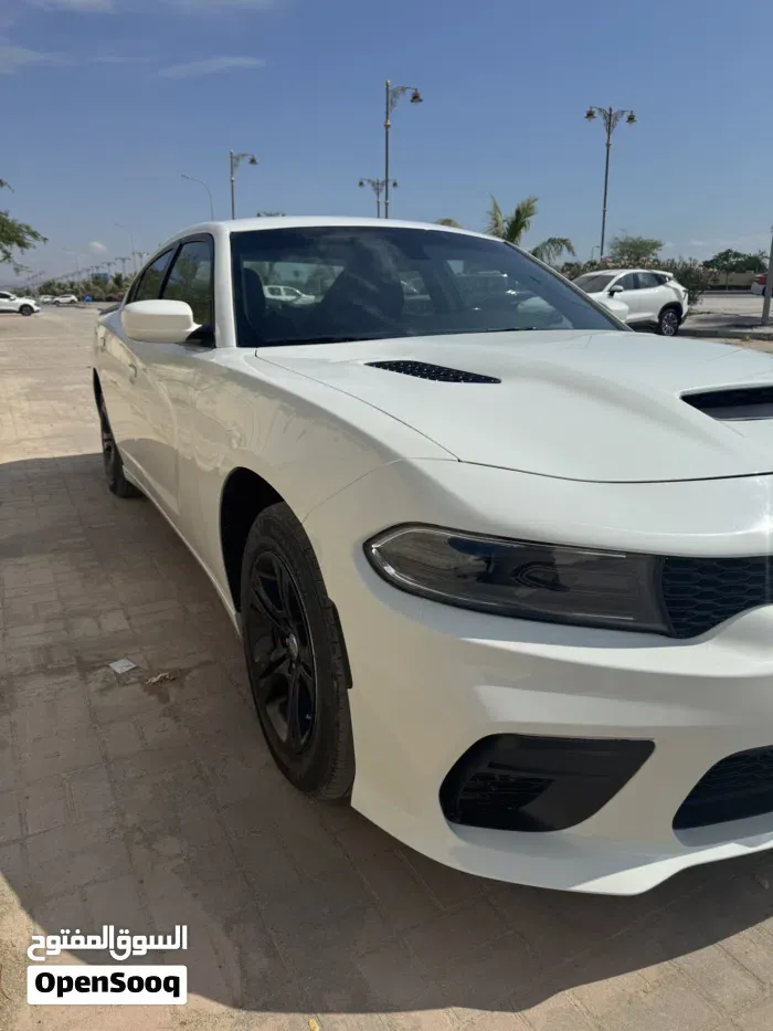 Dodge Charger 2019 photo 3