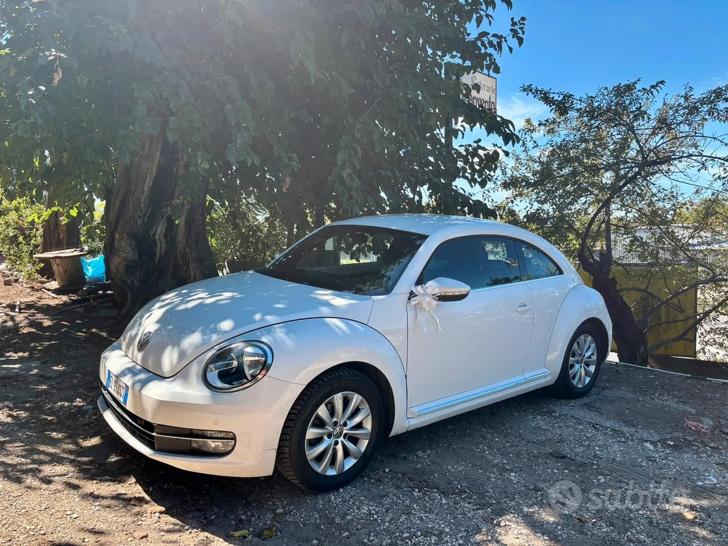 Volkswagen Maggiolino