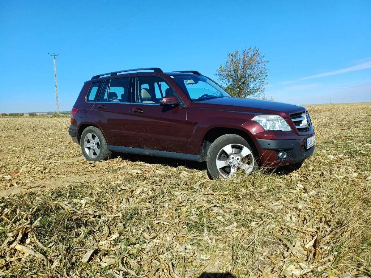 Mercedes-Benz Glk Class 2008 photo 3