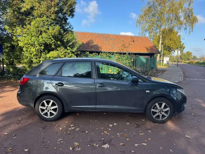 Seat Ibiza 2011 photo 4
