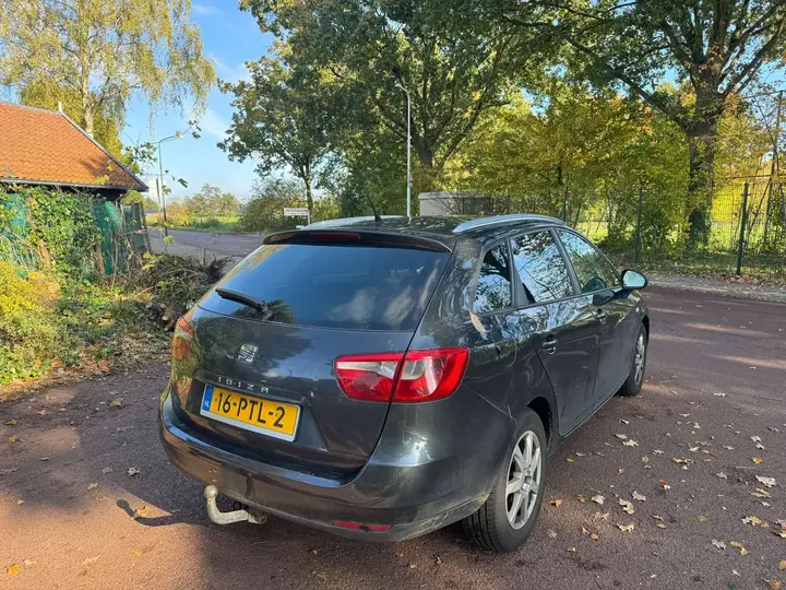 Seat Ibiza 2011 photo 5