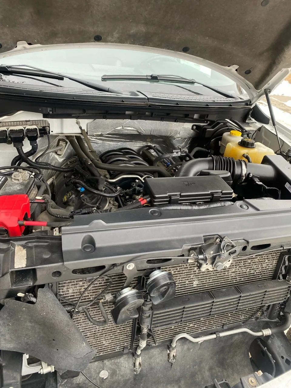 Ford F-150 2014 photo 4