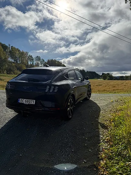 Ford Mustang Mach-E 2021 photo 5