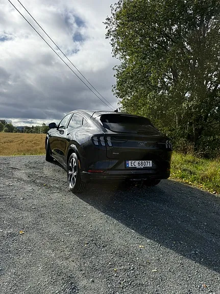 Ford Mustang Mach-E 2021 photo 4
