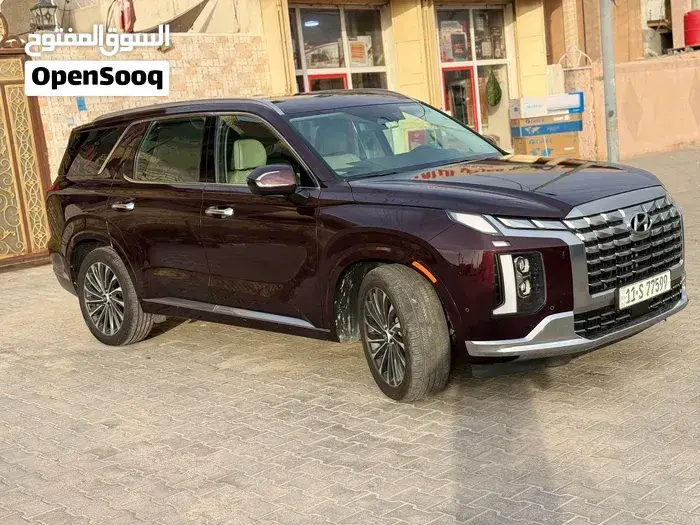 Hyundai Palisade 2024 photo 5