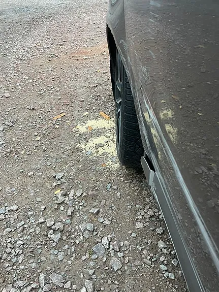 Volvo V70 2009 photo 5