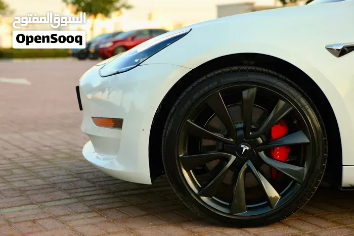 Tesla Model 3 2020 photo 2