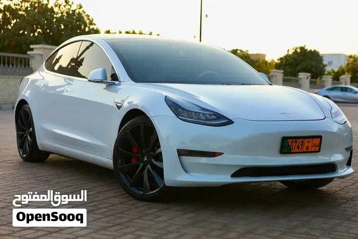 Tesla Model 3 2020 photo 4