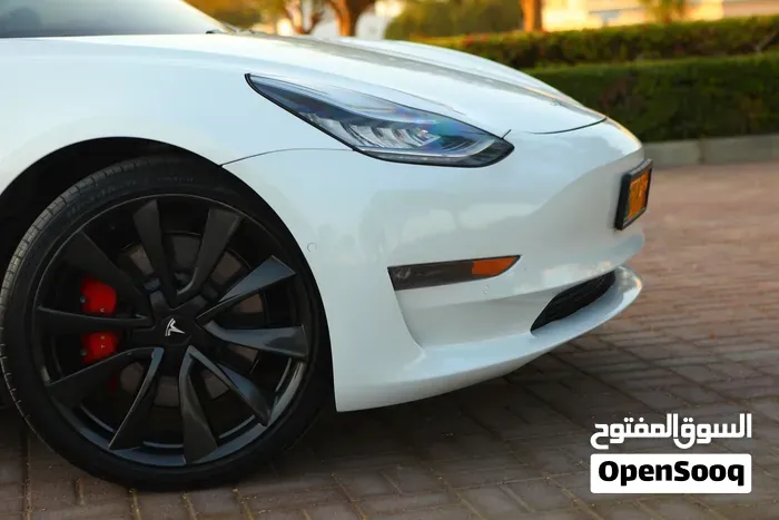 Tesla Model 3 2020 photo 3
