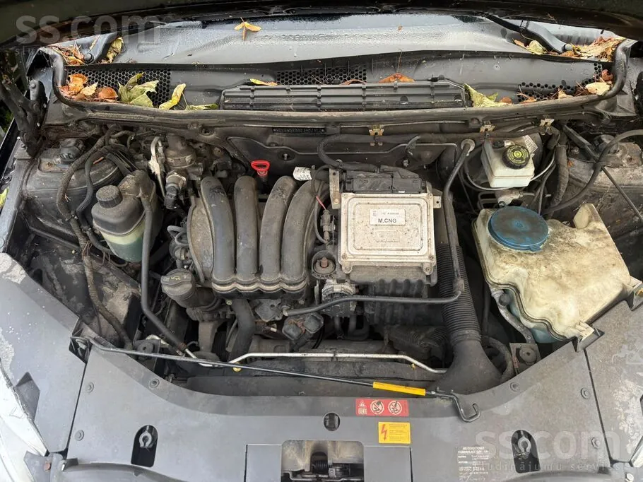 Mercedes-Benz B170 2008 photo 3