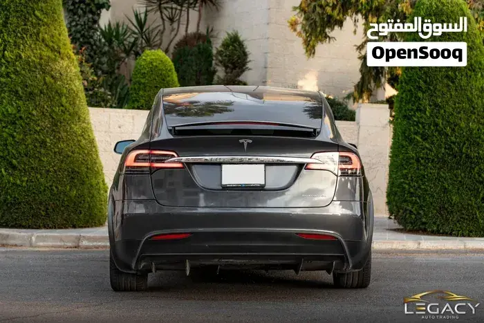 Tesla Model X 2019 photo 3