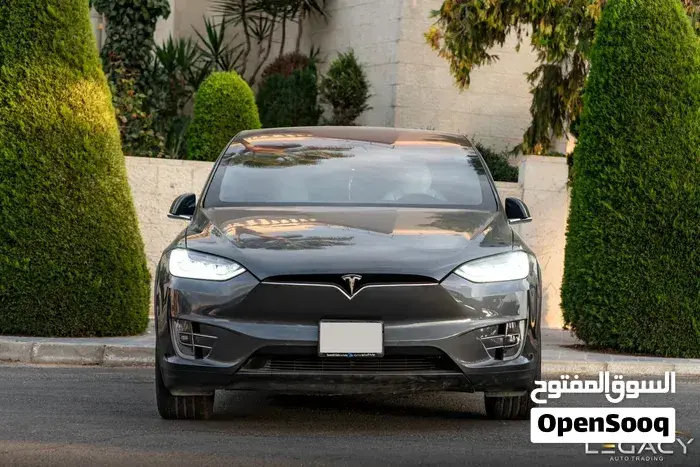 Tesla Model X 2019 photo 2