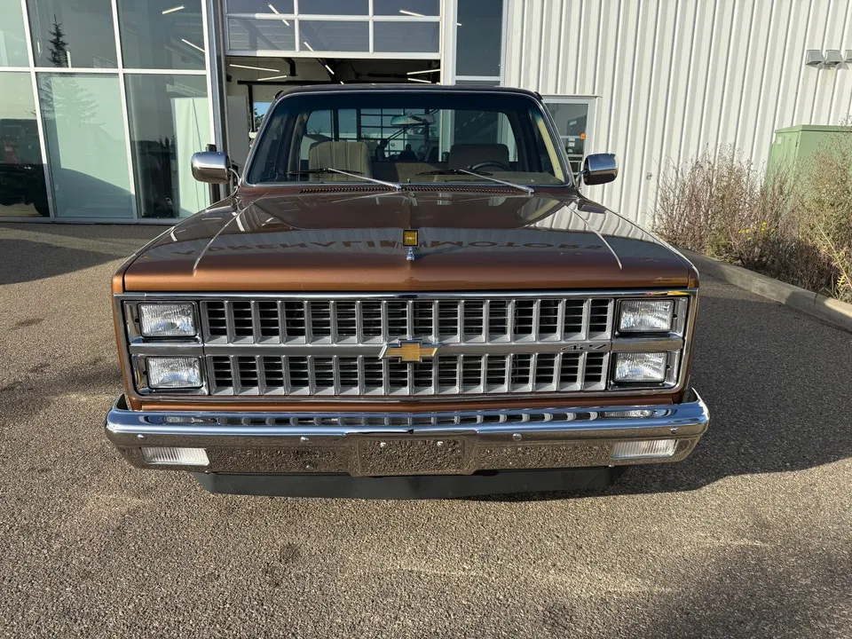 Chevrolet C10 1981 photo 2