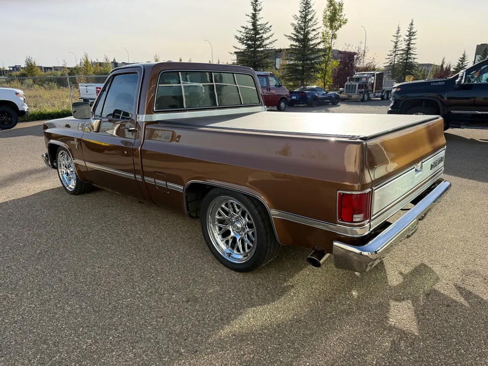Chevrolet C10 1981 photo 5
