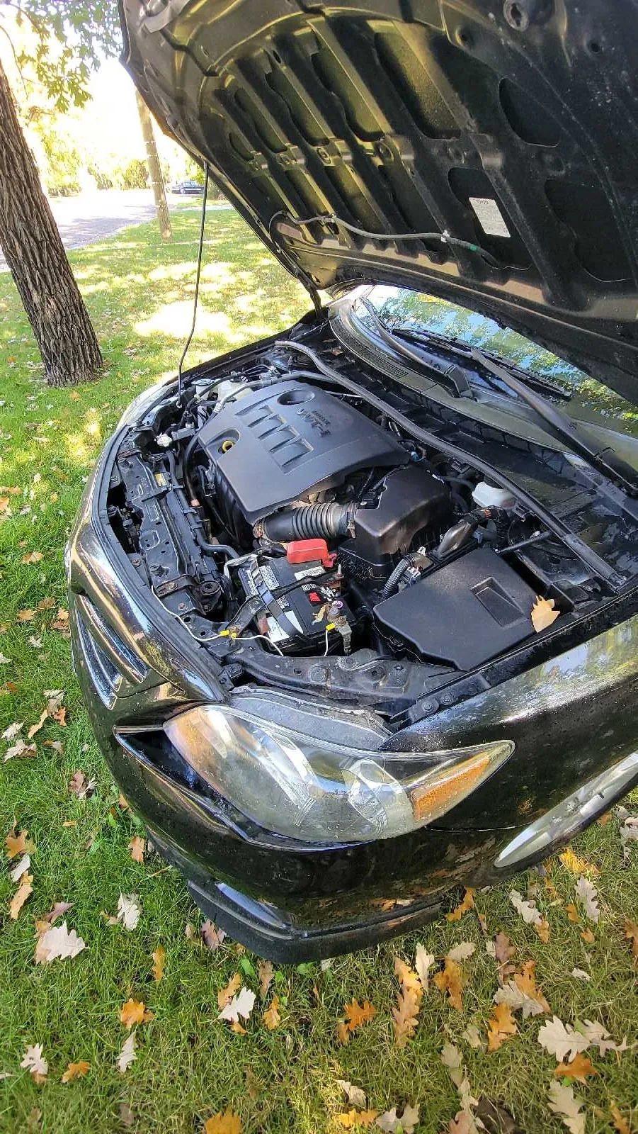 Toyota Corolla 2011 photo 2