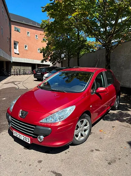 Peugeot 307 2006 photo 2