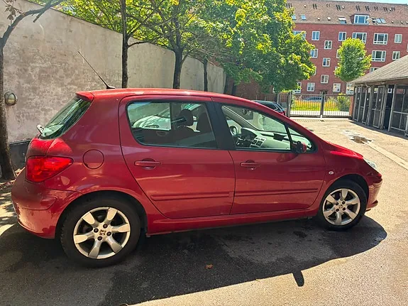 Peugeot 307 2006 photo 5