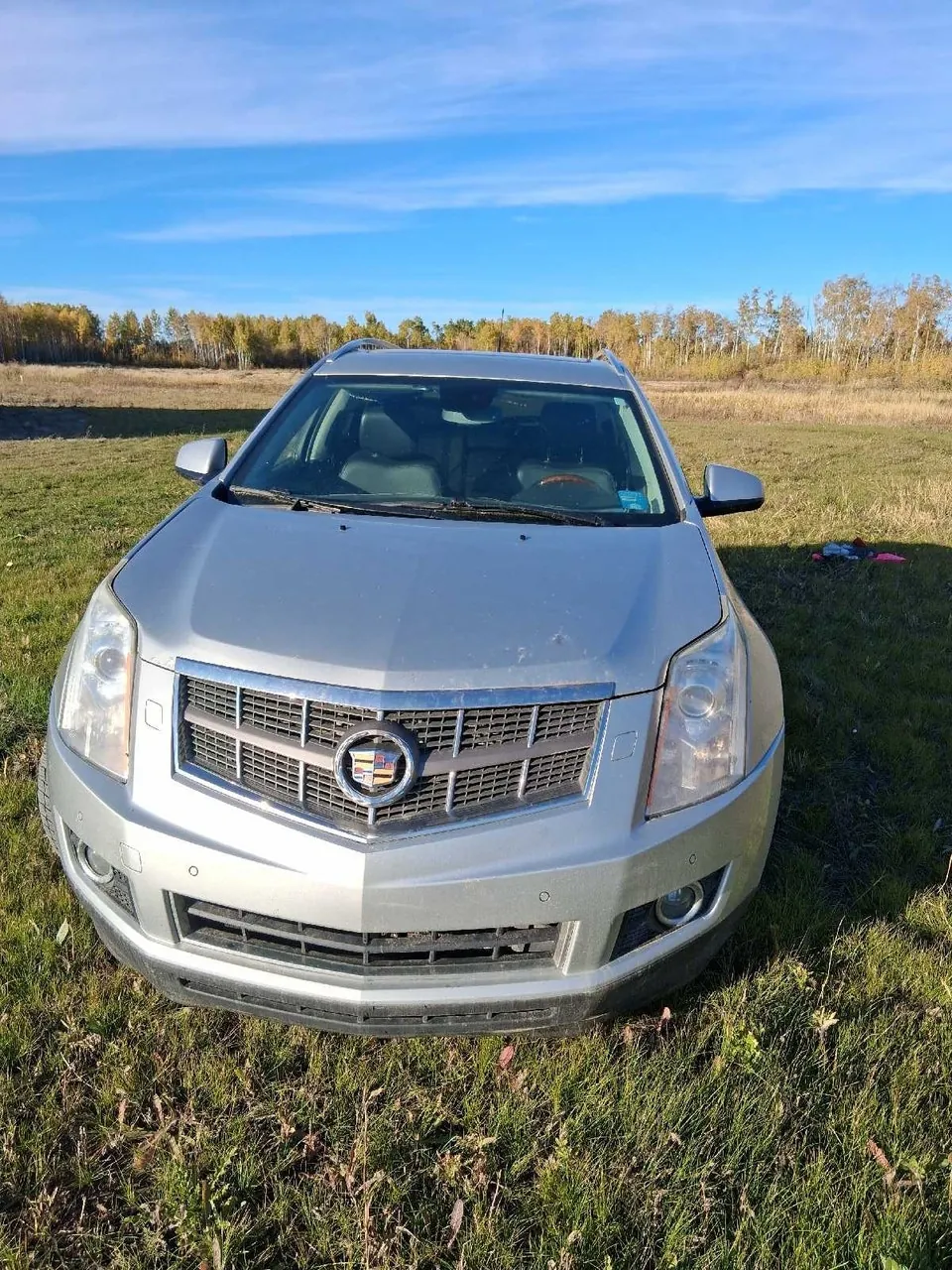 Cadillac Srx 2010 photo 3