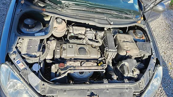 Peugeot 206 2007 photo 5