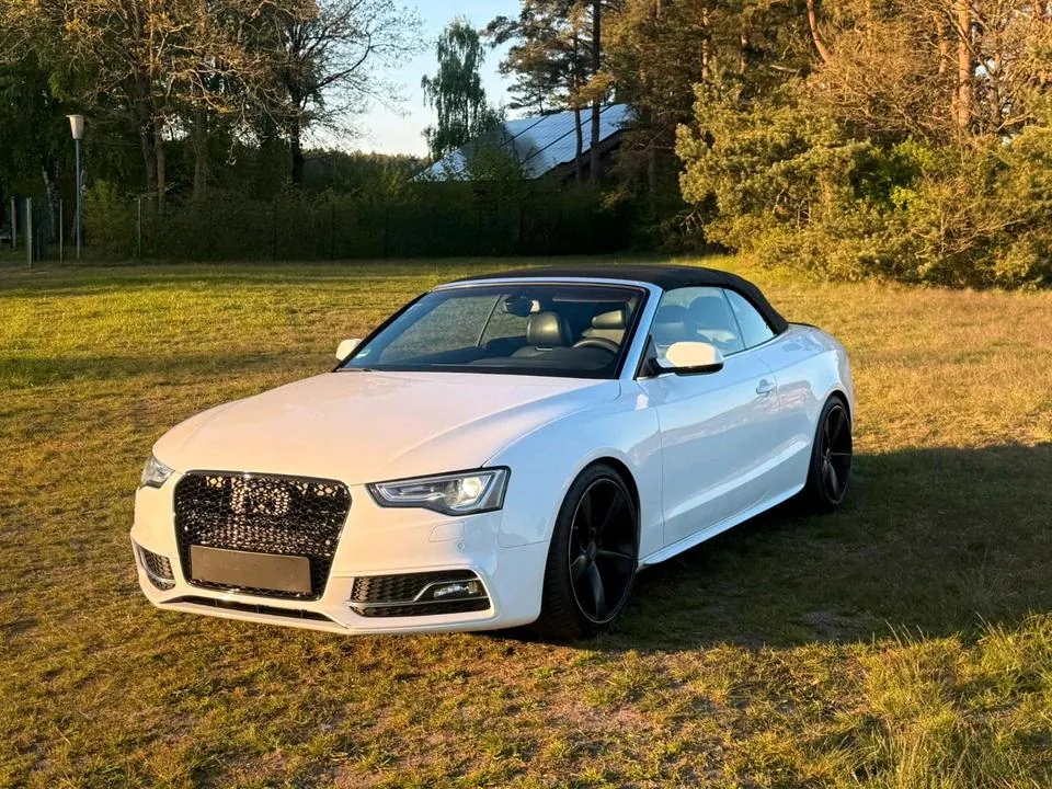 Audi S5 Cabrio