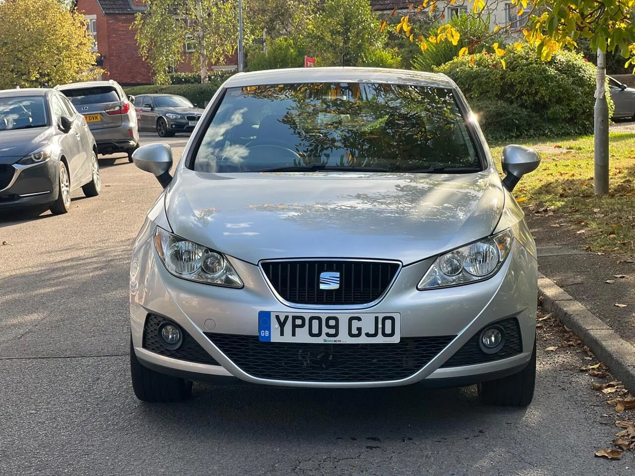 Seat Ibiza 2009 photo 4