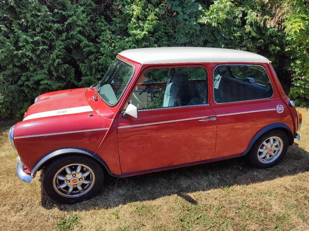 Mini Mini