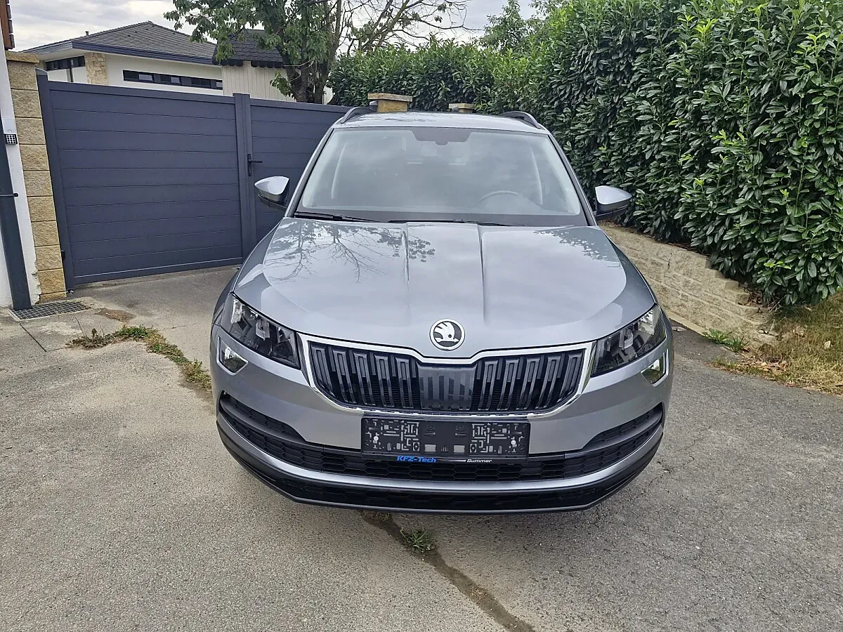 Skoda Karoq 2021 photo 3