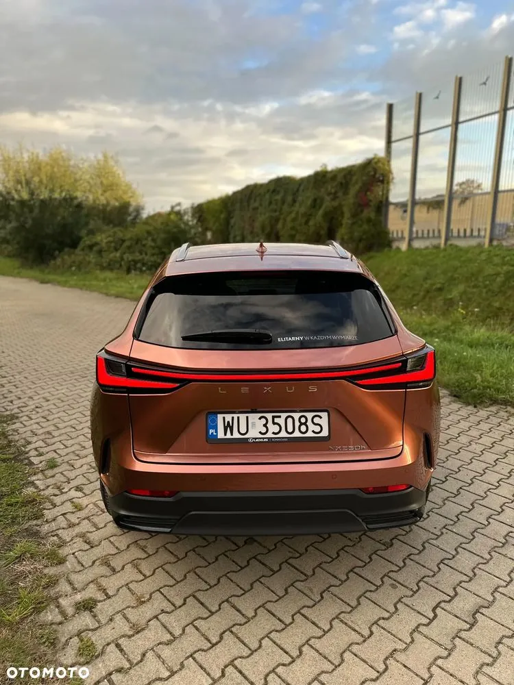 Lexus Nx 2024 photo 4