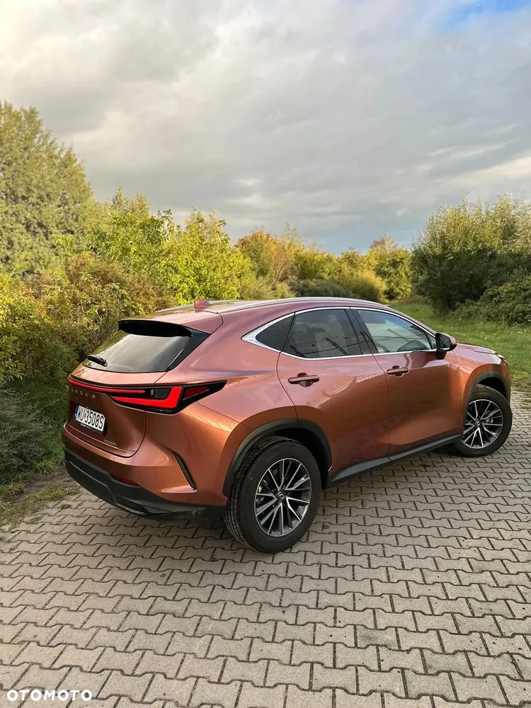 Lexus Nx 2024 photo 3