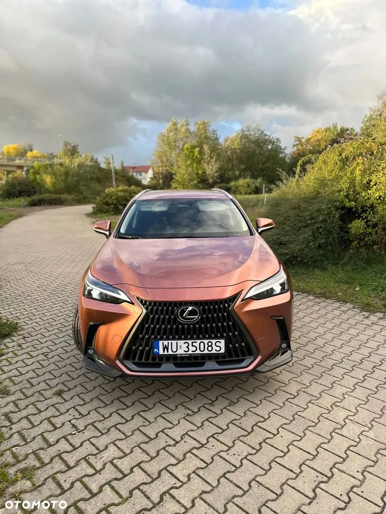 Lexus Nx 2024 photo 2