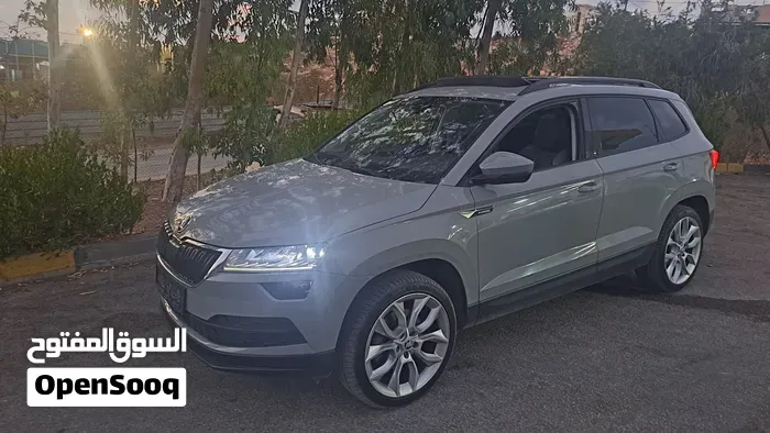 Skoda Karoq 2019 photo 3