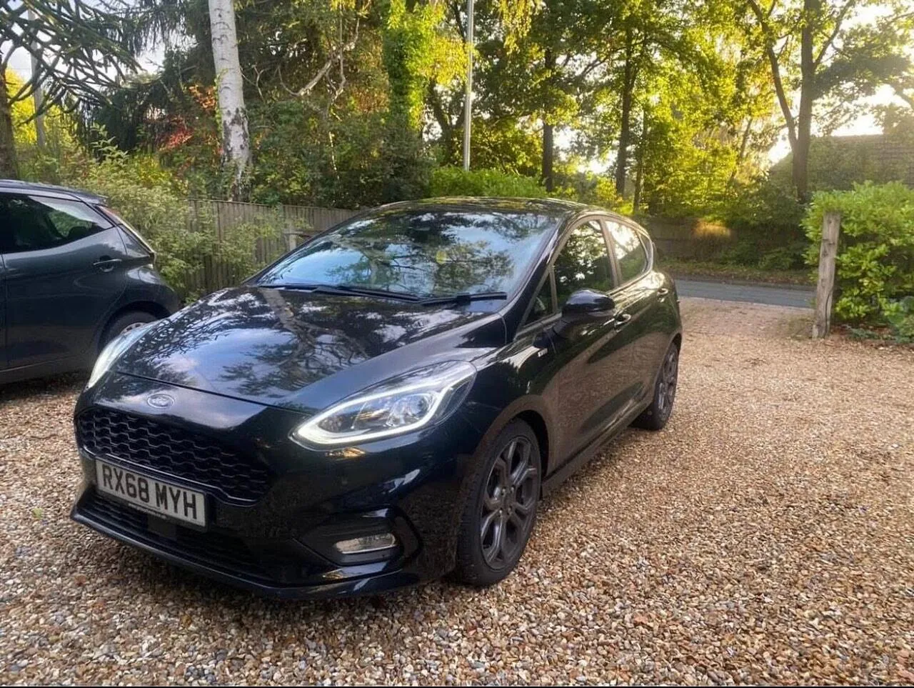Ford Fiesta 2019 photo 2