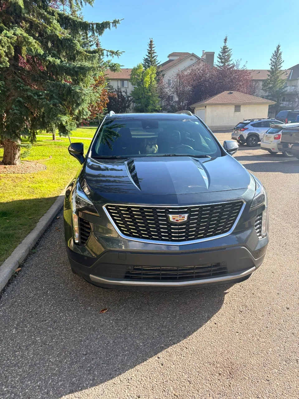 Cadillac Xt4 2020 photo 2