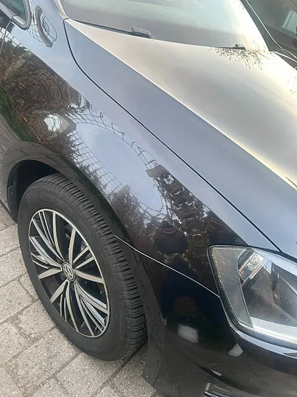 Volkswagen Golf Vii 2017 photo 5