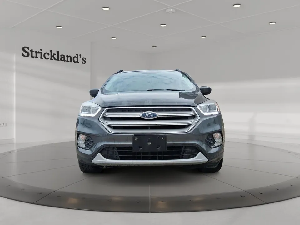 Ford Escape 2019 photo 2