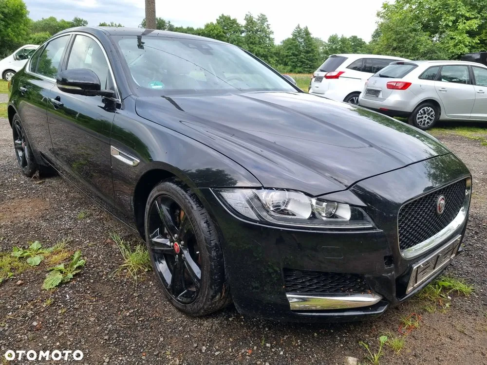 Jaguar Xf