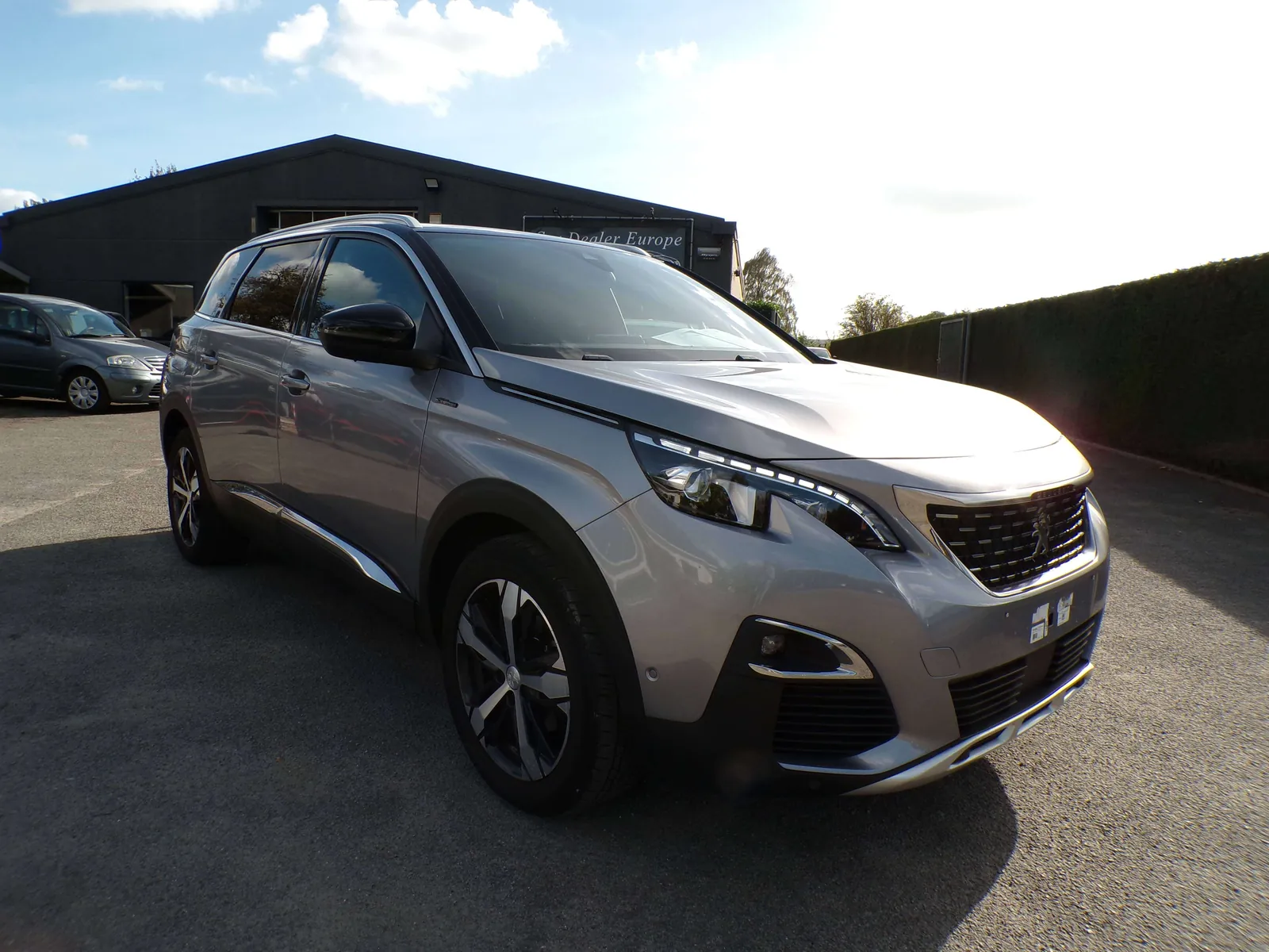 Peugeot 5008 2019 photo 2