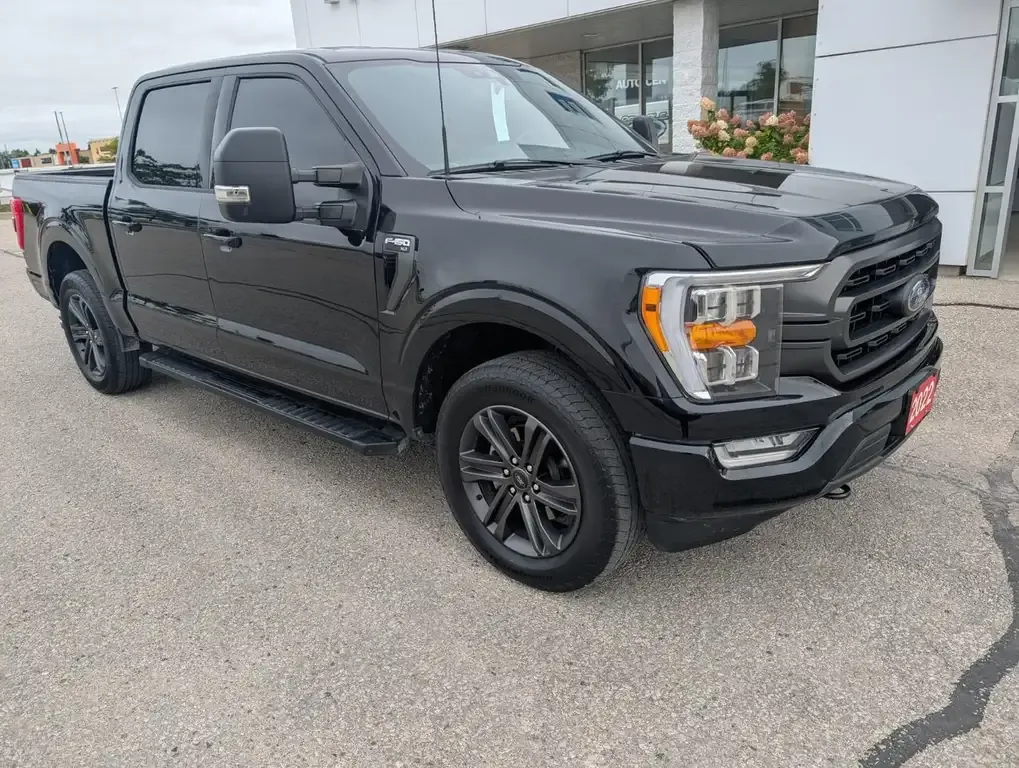 Ford F-150 2022 photo 4