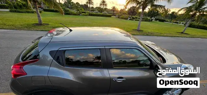Nissan Juke 2014 photo 2
